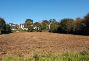 Terrain 08 - Bouguenais (44)
